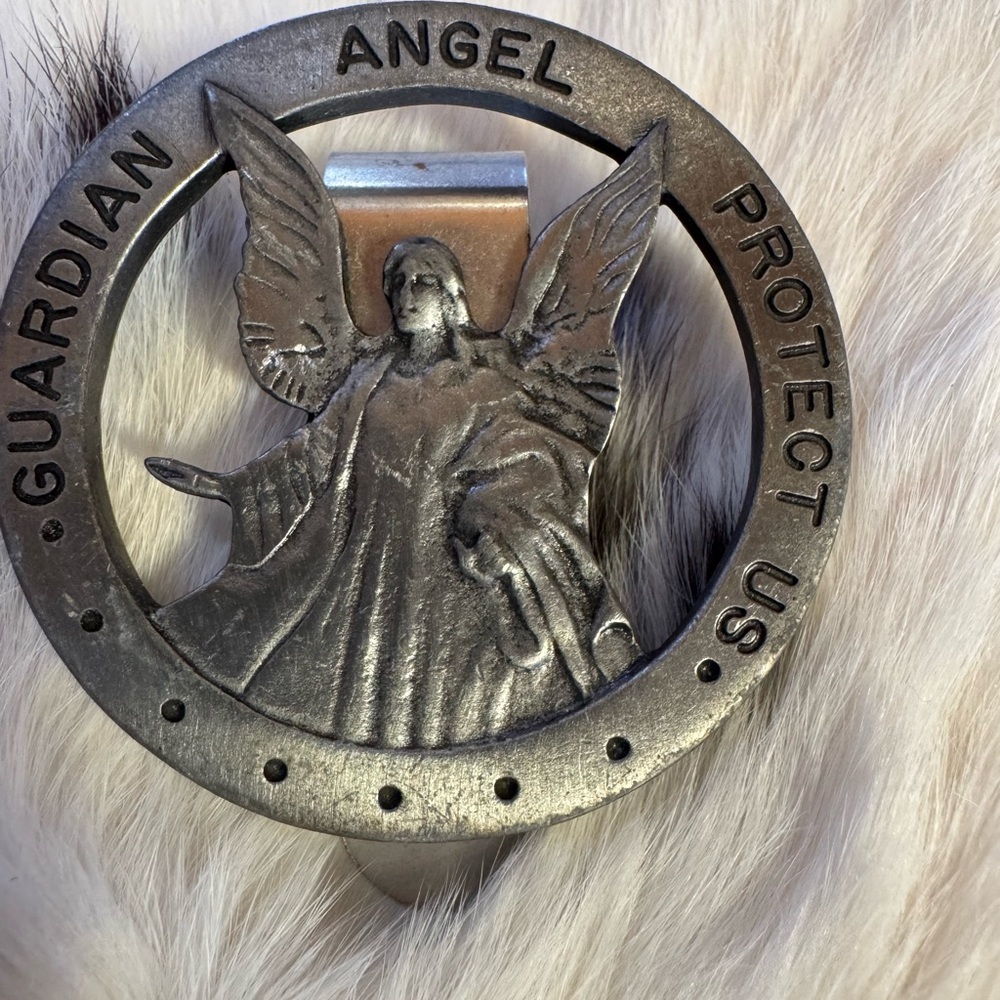 Money clip for guardian protection